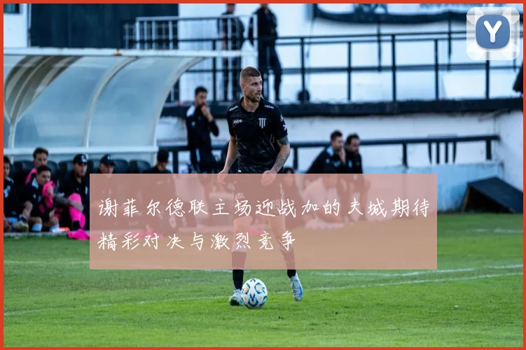 谢菲尔德联主场迎战加的夫城期待精彩对决与激烈竞争