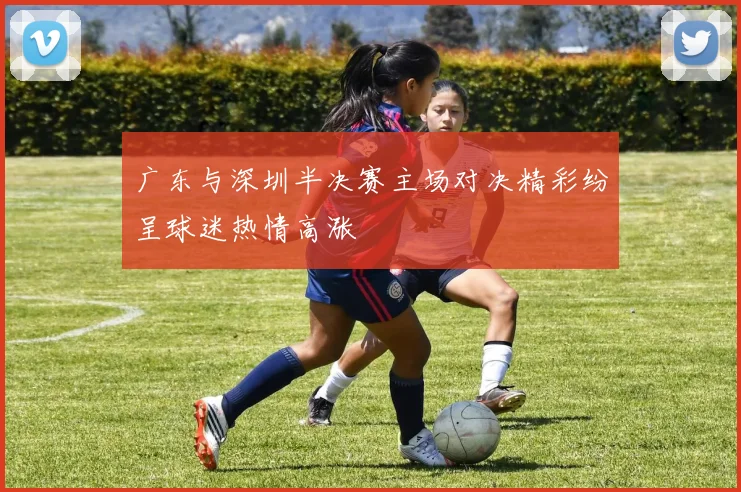 广东与深圳半决赛主场对决精彩纷呈球迷热情高涨