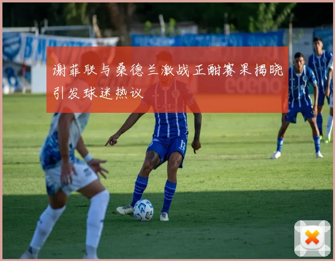 谢菲联与桑德兰激战正酣赛果揭晓引发球迷热议