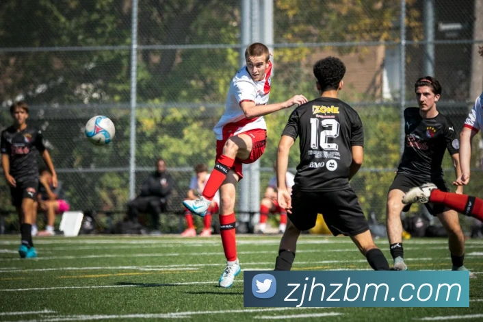 zoty中欧平台生态图